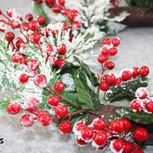 Christmas decoration - Common holly